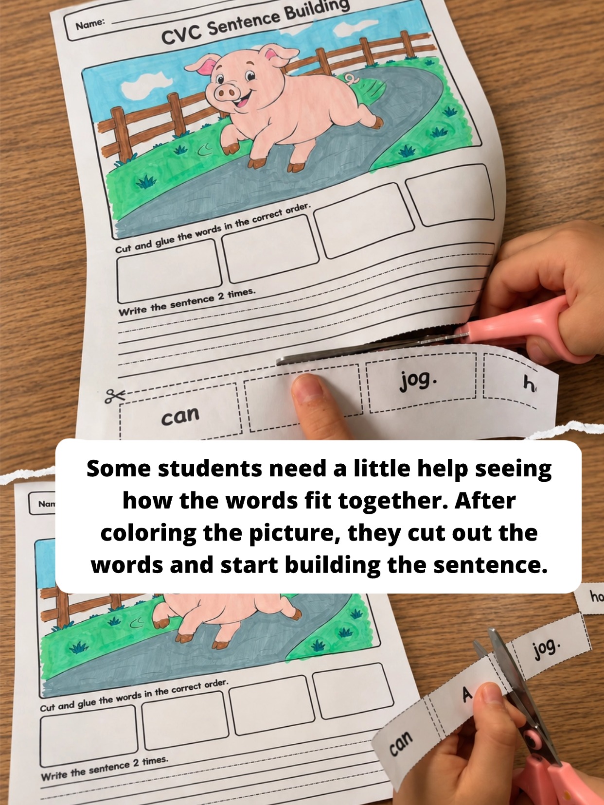 Student cutting and building a CVC sentence from word cards
